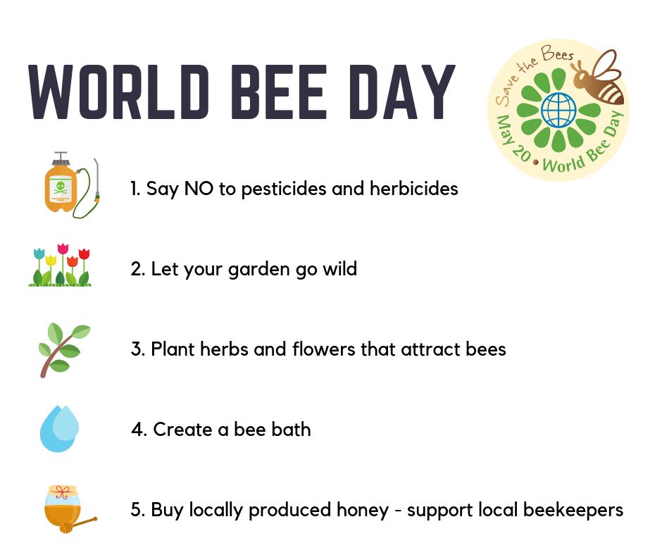 it's #WorldBeeDay! What are you doing to save the #bees? Visit buff.ly/2VOA3tc to learn more!