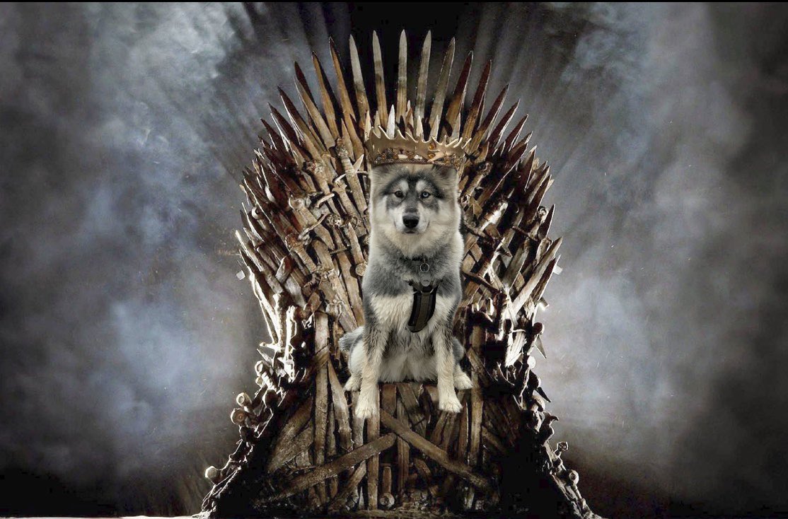 arayberry26's tweet photo. SPOILER ALERT: After tonight’s GoT episode Akira is the next ruler of the 7 kingdoms https://t.co/DbCNxJLKW0