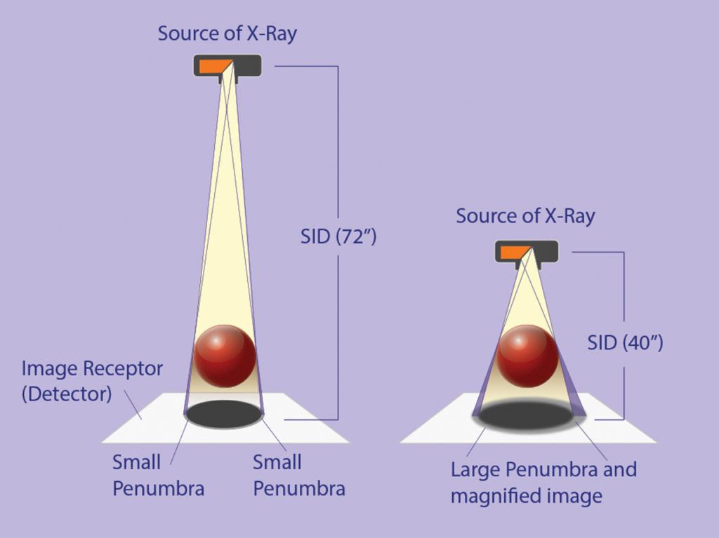 MyVetImaging's tweet photo. MVI's i72 digital radiographic table features a 40 – 72” variable SID designed to impact image quality enhancing your ability to see more clearly small anatomical structures by improving image edge sharpness and reducing magnification for greater diagnostic content. https://t.co/Wv5EF3Sxiy