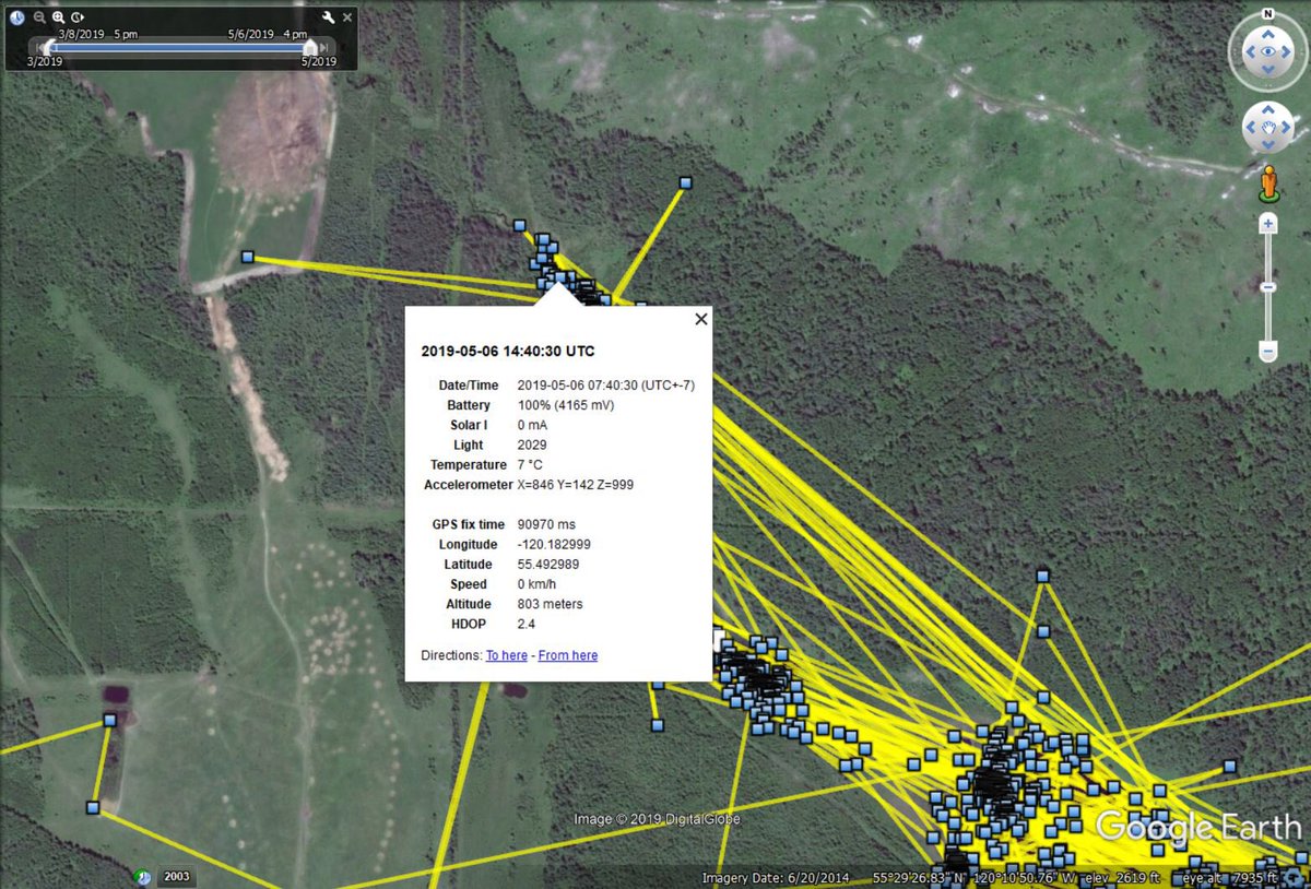 MyODFW's tweet image. Great #MigrationWeek story about one Trumpeter swan’s migration from Summer Lake, Oregon to Northern British Columbia. - instagram.com/p/BxL3-NqglKb/…