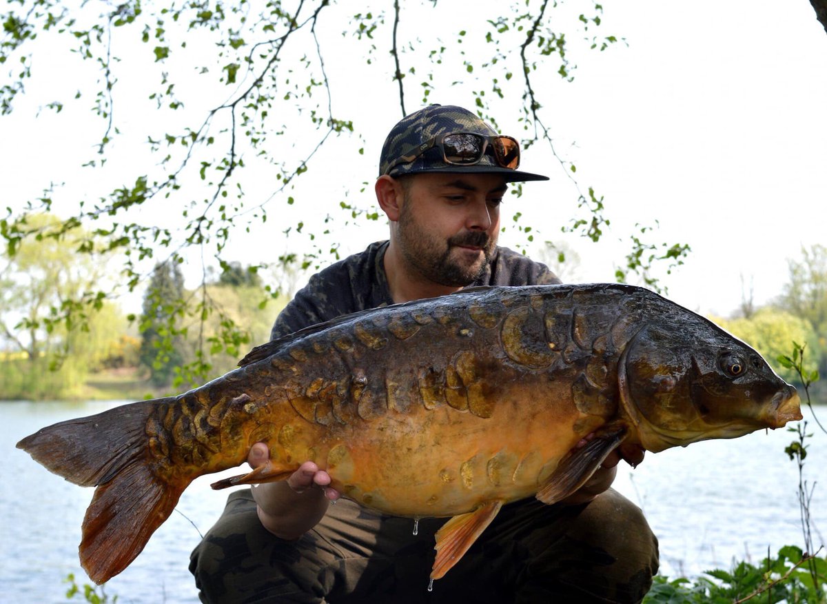 23lb 3oz mirror that Tom had recently using white reaper from North East Baits He also had another bite but sadly lost it due to trying to keep the fish away from some snags it was heading for which resulting in a hook pull! #teamevo #teamneb #teamBMG #teamrhino