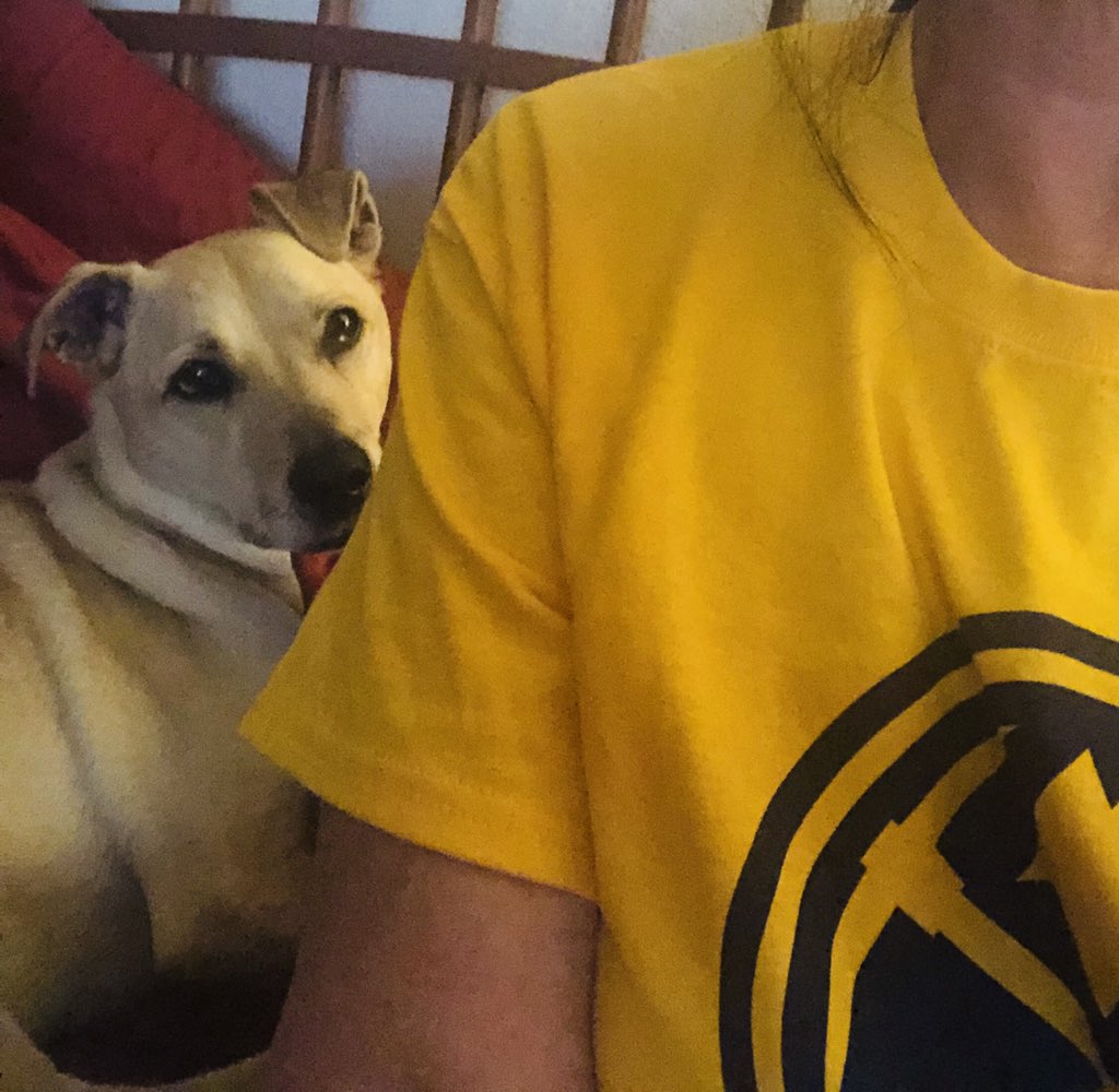 OnAirShannon's tweet photo. Hi, my name is Lucy, and I’m a playoff widow. This has been my life for 13 days straight. When we get home, mom just watches the light box, and sometimes even yells at it. I guess that’s what I get for moving to Denver. #pleasehelp #MileHighBasketball #GoAvsGO #DenverProblems https://t.co/P5Naokmdor