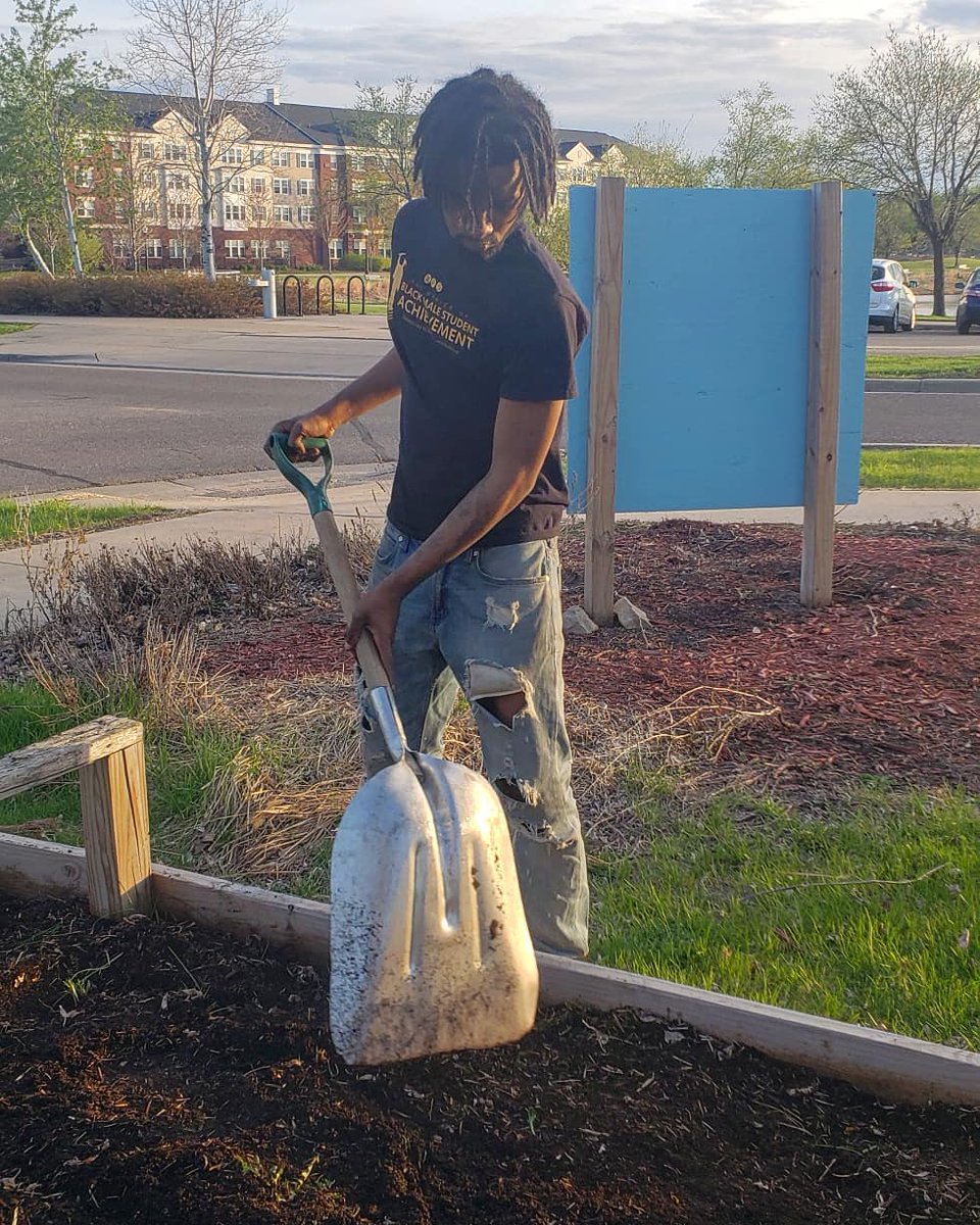 GGBakeryMpls's tweet image. Back in action at Green Garden! 🌿🐝🌾
#mnspring #urbangardening #minneapolis