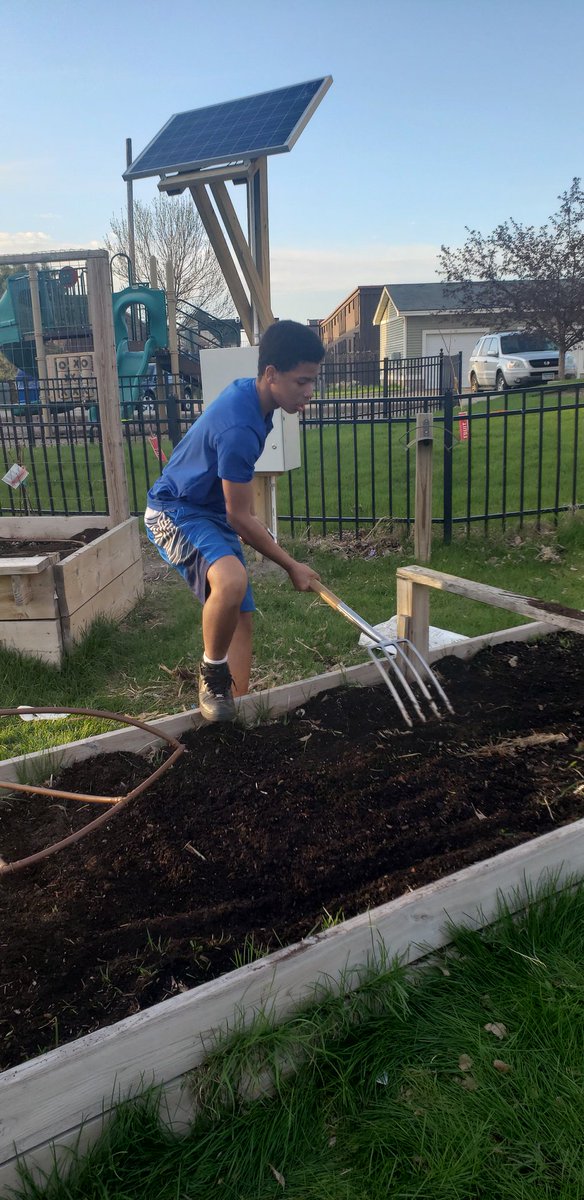 GGBakeryMpls's tweet image. Back in action at Green Garden! 🌿🐝🌾
#mnspring #urbangardening #minneapolis