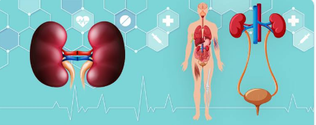 EuroDepression's tweet photo. Hypertension can affect your arteries, impact your heart, and can lead to heart failure, and enlarged left heart, or coronary artery disease. It can also damage your brain, your eyes, your kidneys, and other bodily functioning. #hypertension #symptoms #highbloodpressure https://t.co/dYeiducGbE