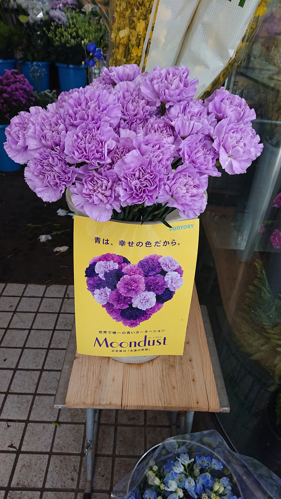 ট ইট র フラワーショップシンドー ムーンダスト サントリー 花言葉は 永遠の幸福 青いカーネーション ムーンダスト 幸せを願う青い花 月のように華麗な花びらが 永遠の幸福をもたらすよう人生の節目を祝う大切な記念日に 永遠の幸せを願う気持ち ট ইট র フラワーショップシンドー ムーンダスト サントリー 花言葉は 永遠の幸福 青いカーネーション ムーンダスト 幸せを願う青い花 月のように華麗な花びらが 永遠の幸福をもたらすよう人生の節目を祝う大切な記念日に 永遠の幸せを願う気持ち