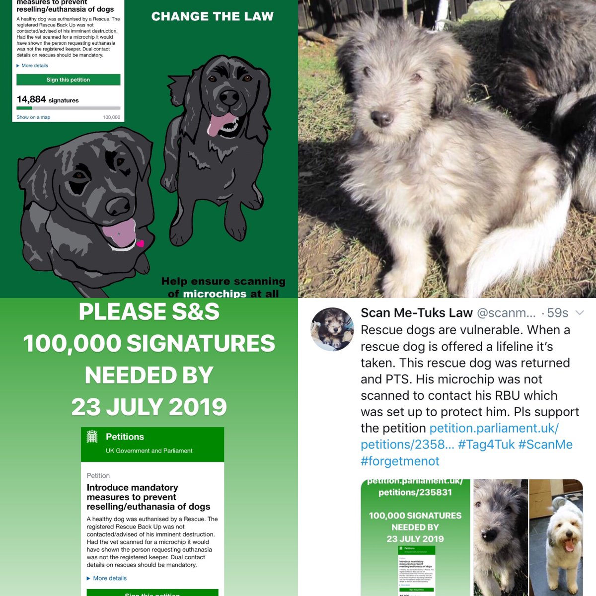 scanme_tukslaw's tweet photo. https://t.co/Vh5UTIqSQB
PLEASE SIGN FROM ALL FAMILY EMAIL ADDRESSES, SHARE AND READ THE GOVERNMENT RESPONSE.
Pls support the petition for the law to require mandatorily scanning for microchips and it not be only a recommendation #Tag4Tuk @rickygervais #TeamPOG https://t.co/CmMT2g9V9u