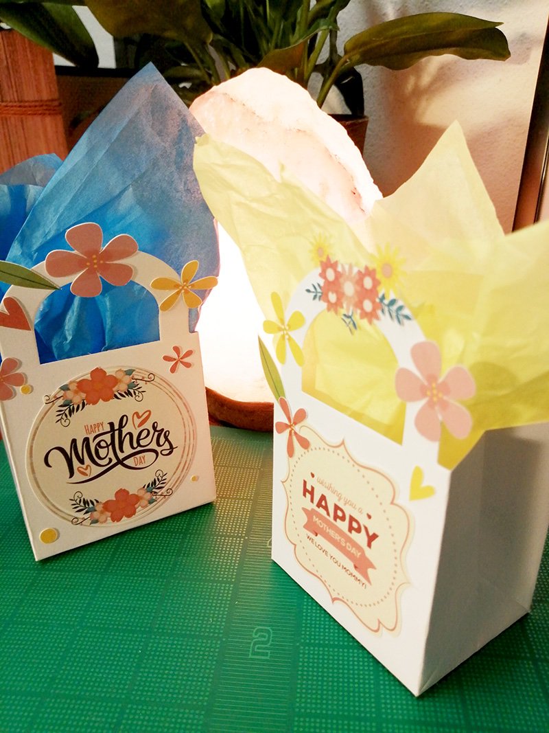 Graphtec's tweet image. Celebrate Mother&apos;s Day with customized gift bags for mom with Graphtec &amp;gt;&amp;gt; speedy cut with Graphtec Products: graphtecamerica.com/cutting-plotte…