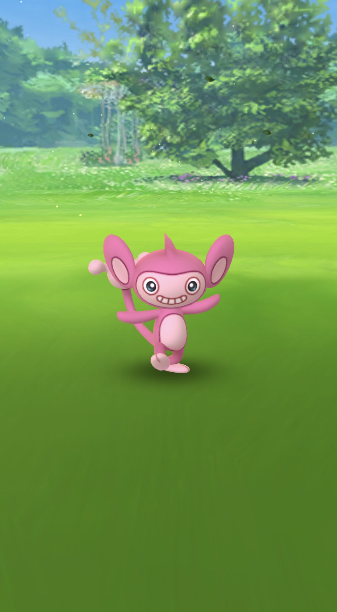 Choco Mint わ い 朝からうれしいな ポケモンgo 色違い エイパム T Co Wyrrv40ekn Twitter Choco Mint わ い 朝からうれしいな ポケモンgo 色違い エイパム T Co Wyrrv40ekn Twitter