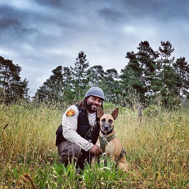 After three years of training, sometimes an hour and a half away, four times a week, Pawley and I passed the California Rescue Dog Association's "type one trailing mission ready test"!!!!! What does that mean exactly? 
It means that as of today, the two … bit.ly/2VWRlDK