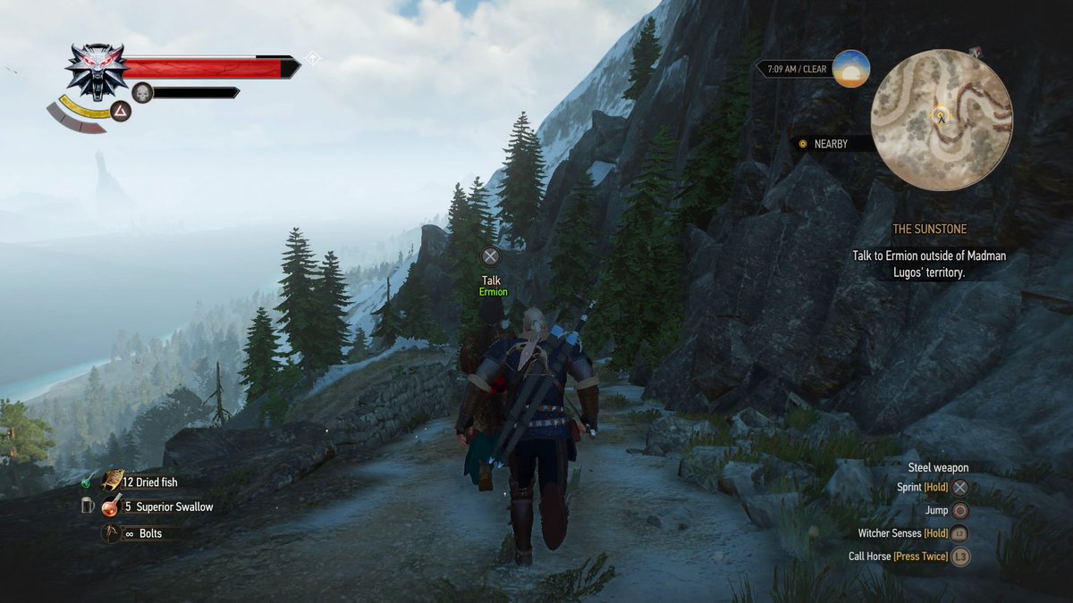 P03TH3IR's tweet image. On the run after committing homicide with a wizard. #Witcherproblems #WitcherWildHunt  #PS4share