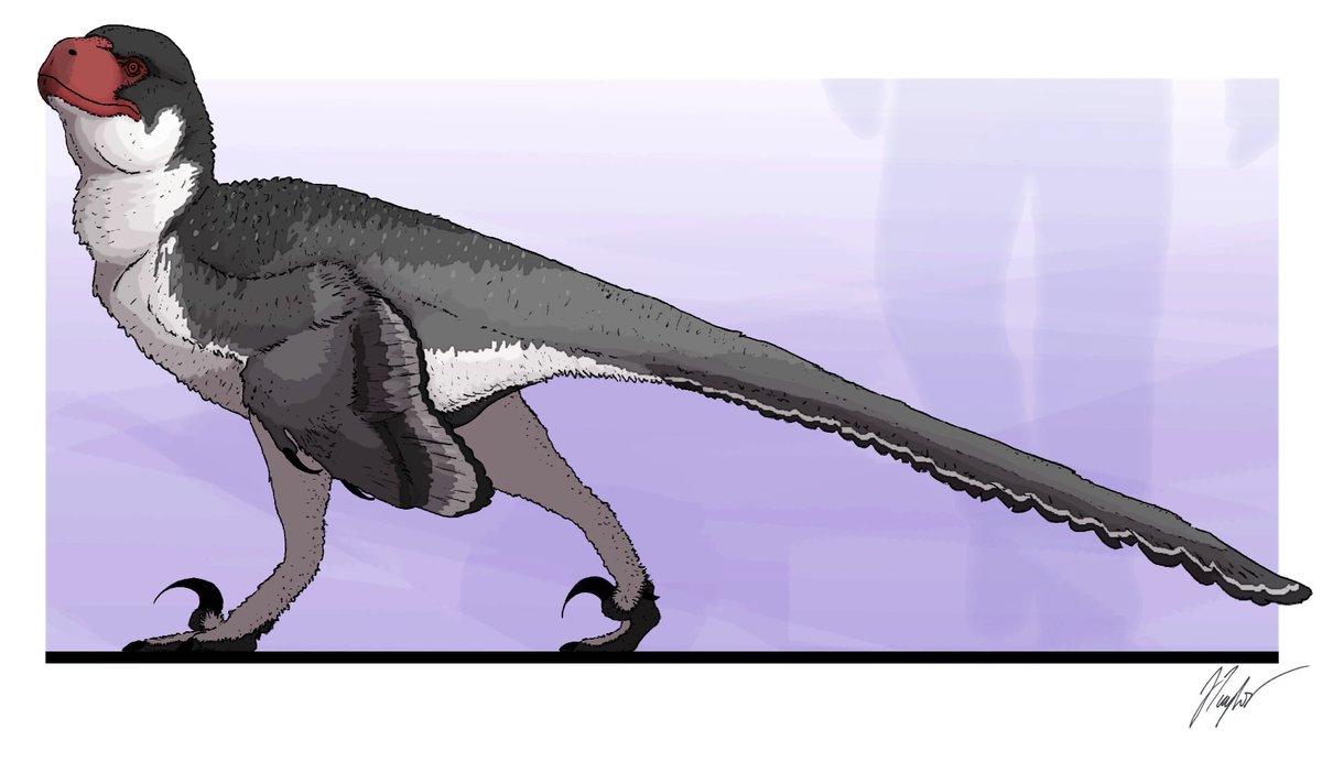 JedTaylorArtist's tweet photo. #Atrociraptor. https://t.co/iVqZ5D4I2j