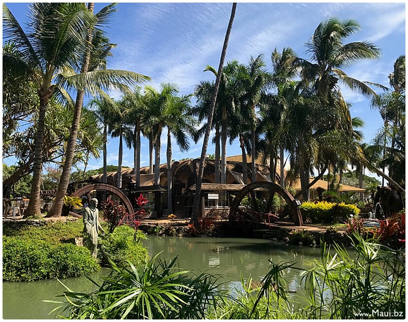 lahaina's tweet photo. Interactive dining under the stars on a tropical plantation in paradise? Yes please: https://t.co/yPIk7s94Vu @millhousemaui #mauichefstable https://t.co/A8B2wVxqWw