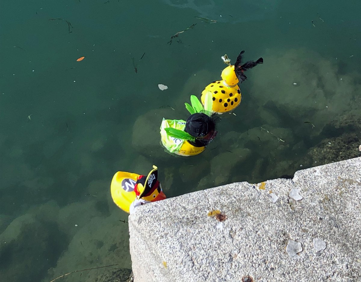 Our Tauranga office went a bit ‘Quackers’ in The Great Tauranga Duck Race charity event. Quackers (our sponsored green feathered duck) did us proud in the corporate duck race, floating across the line in 2nd place. Money raised on the day went to our vital Surf Lifesaving Clubs.