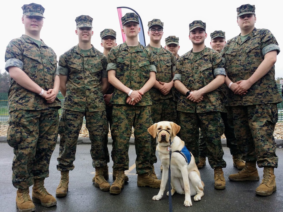 CaponeCinda's tweet photo. Kendall @NEADSdogs thanks Monty Tech JROTC for the great job they did at the Pulling 4 Paws event! https://t.co/XoqHzwUgwS