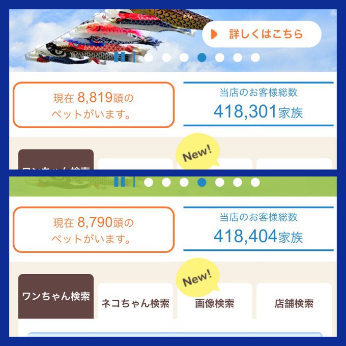 一日で売れたのが101頭増えたのに対して在庫は11頭しか減っていません。 即ち90頭の在庫補充をしている事になります。 カウンターは両方動いているので集計タイミングによる誤差は無い？ 先月在庫頭数が1万を超えており40万頭達成セールも最近やっていましたが短期間で2万頭近く😭 異常です💢<a href="/tag/%E3%83%9A%E3%83%83%E3%83%88%E3%82%B7%E3%83%A7%E3%83%83%E3%83%97"class="tags"><span>#ペットショップ</span></a>