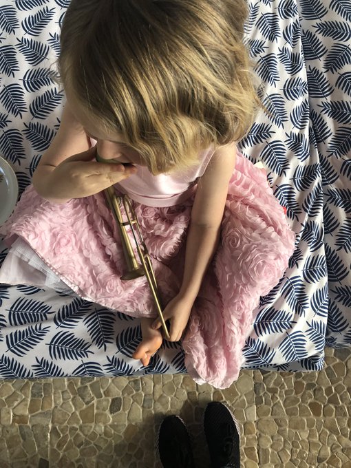 In retrospect, the trombone kazoo was a problematic purchasing decision. https://t.co/r9HYnR57Em