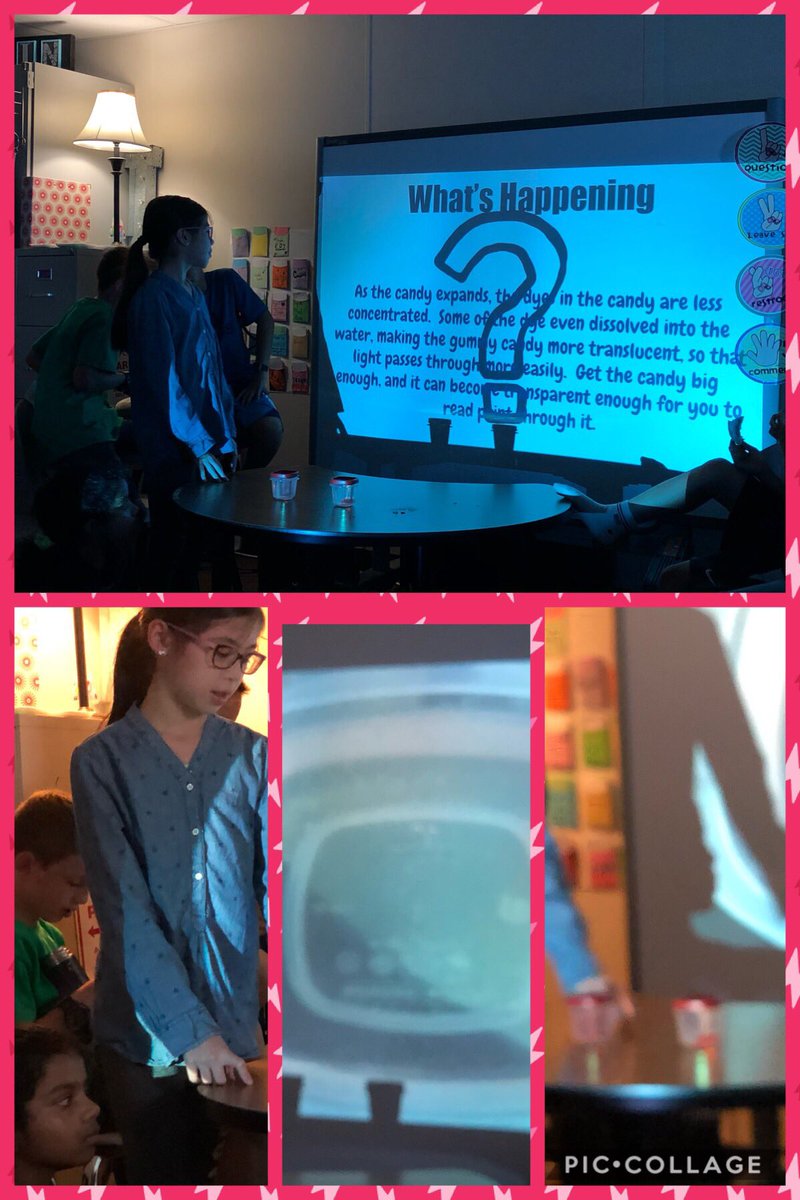 Stacey Levin tweet media