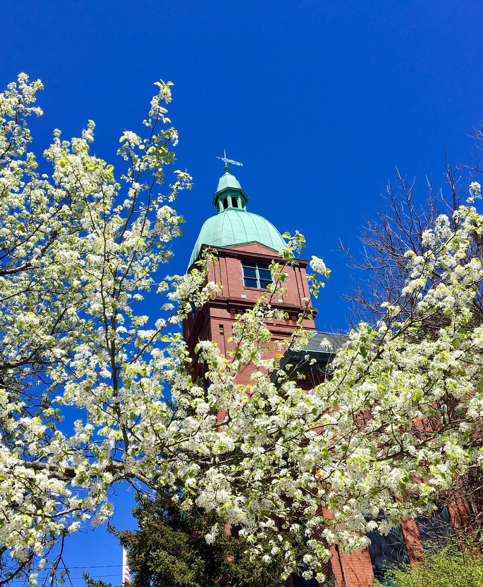 kateplanning's tweet image. Great day celebrating #SmallBusinessWeek2019 with Connect Greater Newport. Warren’s #businesswalk was a success thanks to our local rock stars ⭐️ including @AVTECHSoftware @TBCboxer and @oandgstudio. Warren truly is where it’s at!