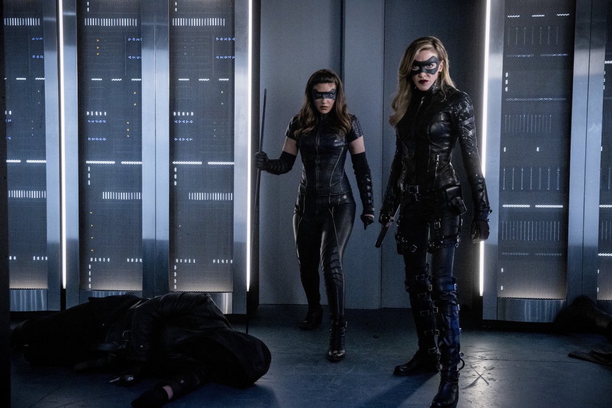 Xanderman616's tweet photo. Canโt wait to see pretty birds @MzKatieCassidy and @JulianaHarkavy side by side next week! ๐โค๏ธ #BlackCanary #Arrow https://t.co/yksLXvNAb0