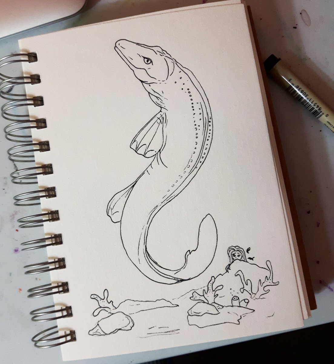 thatnerdygrl's tweet photo. Day 7 - #prehistoricmermay is Mosasaur ! Simple contour drawing for this one today. Little mermaids hide when the mosasaurs are hunting - they don't wanna be a snack!

#mermay2019 #mermay #mosasaur #ink #marinereptile #jurassicworld #creature #predator https://t.co/bpgMW2MLh6