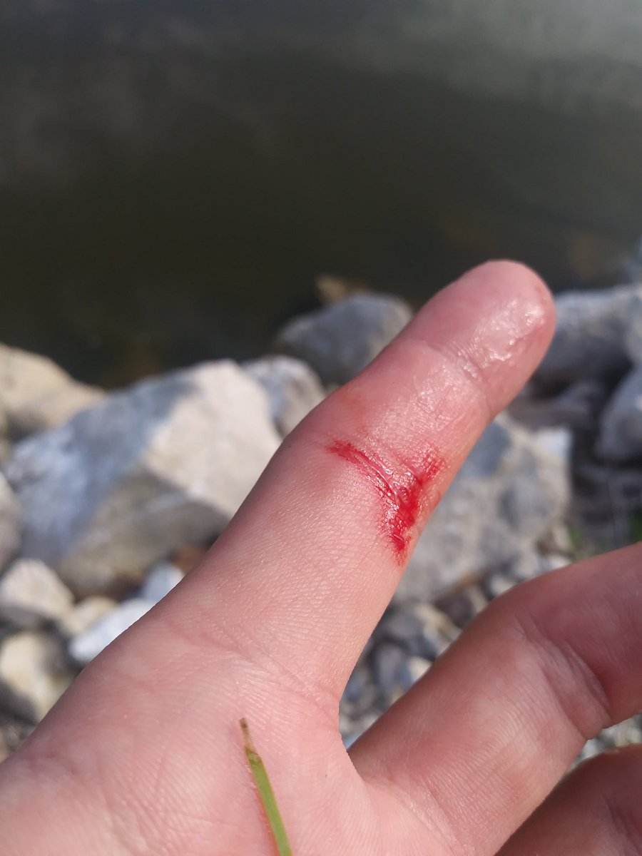 Toa105976452's tweet photo. I caught a bass at lake park! 
令和一発目いいかんじ～w https://t.co/QJEadeIJbC