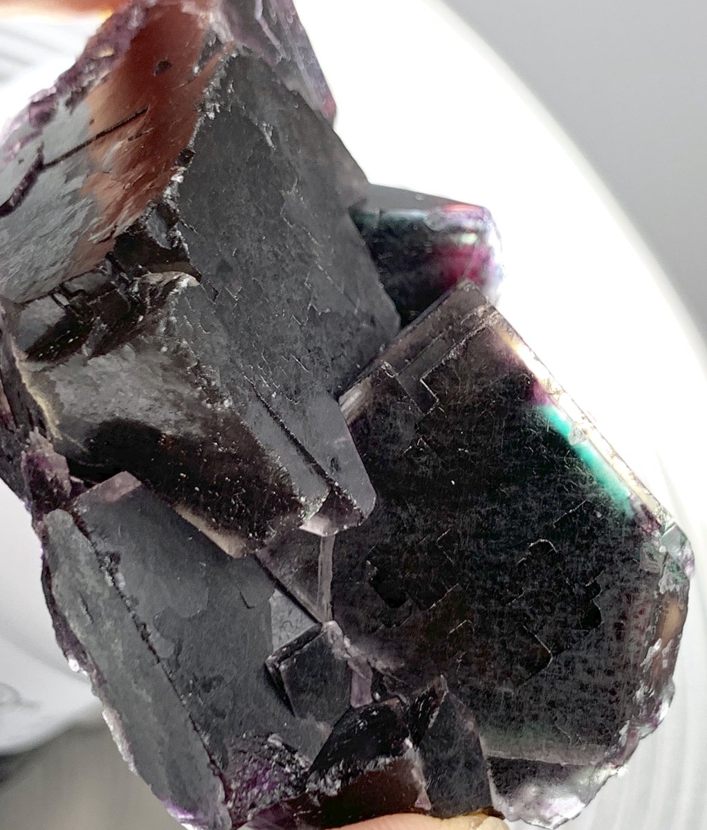 GEMandMShops's tweet photo. Namibian Black Fluorite - RARE - Pristine Cluster of Terminated Black-Rainbow Fluorite Crystals - from Namibia — #GEMandM #Crystals #Fluorite #FluoriteFriday #Minerals #NamibianFluorite #FineMinerals #PurpleFluorite #Gemstones #RockShop #Rocks #Rockhound #Etsy #Geology https://t.co/mjHjRDd90Y