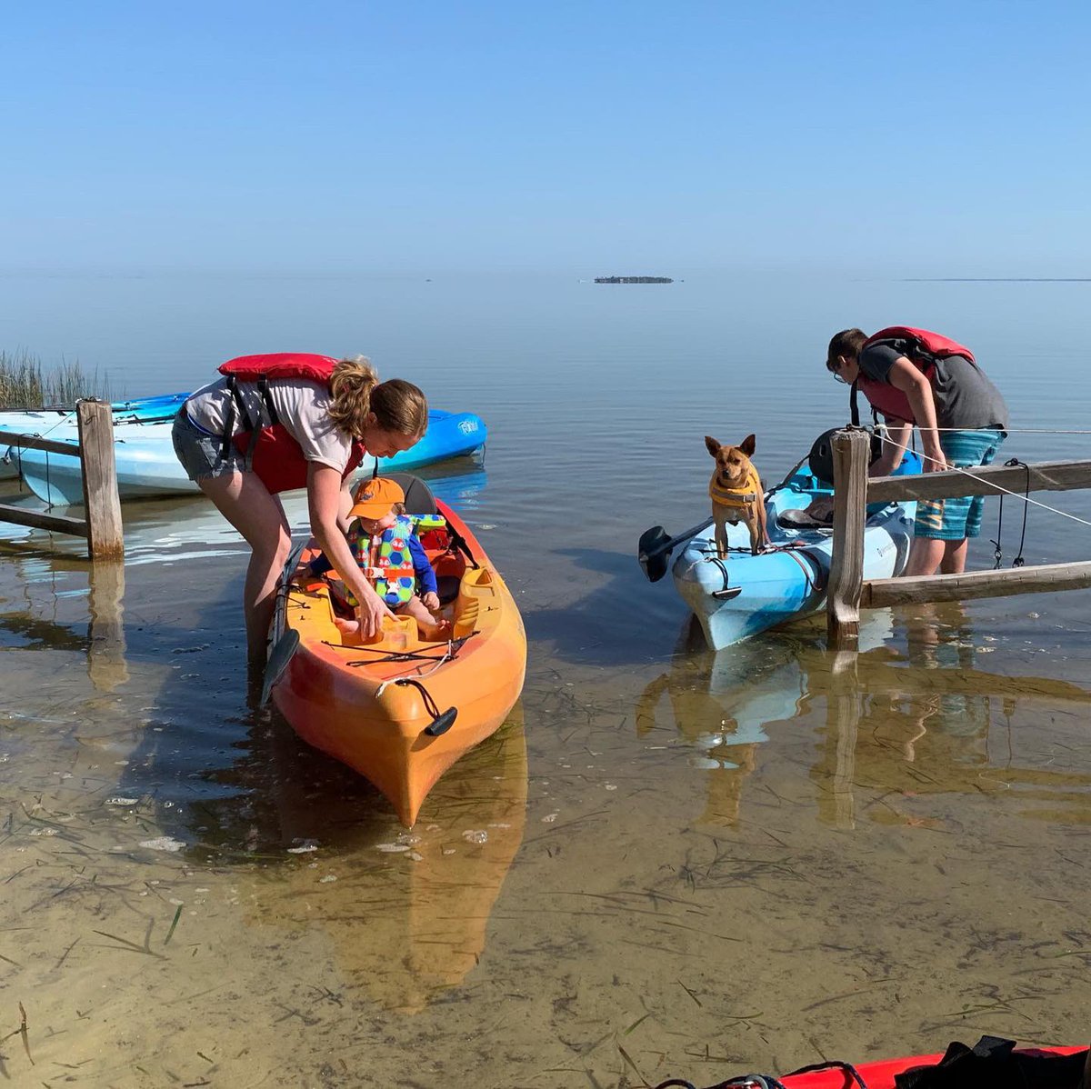 lifewithmutts's tweet photo. A mom, teenager, toddler &amp; dog went kayaking... and we all survived!! 🙌 And had fun too. (Well, the baby not so much)

Our initial plans for today didn't pan out, but Plan B was pretty spectacular. Thanks @gulfcountyfl for a fun day on the water!#sponsored #gulfcountyfl #ingulf https://t.co/F72BaSy7vu
