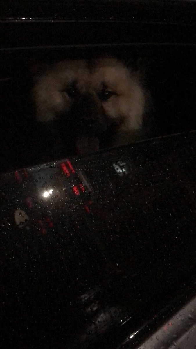 the <a href="/kickmoji_io/">Kickmoji! 🎉</a> dog 🐕