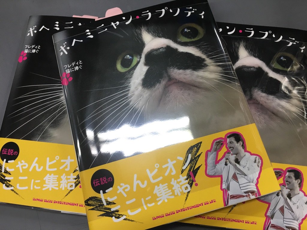 フレディ マーキュリーと猫 フレディ マーキュリーと猫