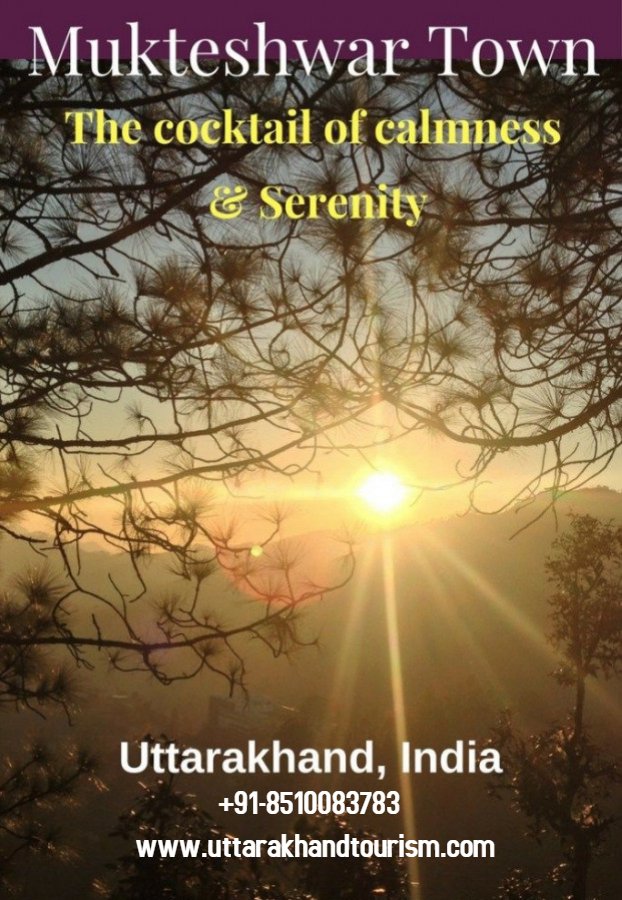 e_uttarakhand's tweet photo. Mukteshwar Town The cocktail of calmness & serenity..
https://t.co/pmSzh9nSze
+91-8510083783
#TreksAroundChardham
#ChardhamPlus
#IncredibleIndia
#Devbhumi
#Uttarakhand
#honeymoonPackages
#holidays
#travel
#tourist
#SimplyHeaven https://t.co/3CkOYYbrnu