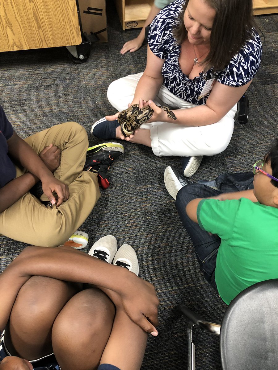 Mrs. Kincade tweet media