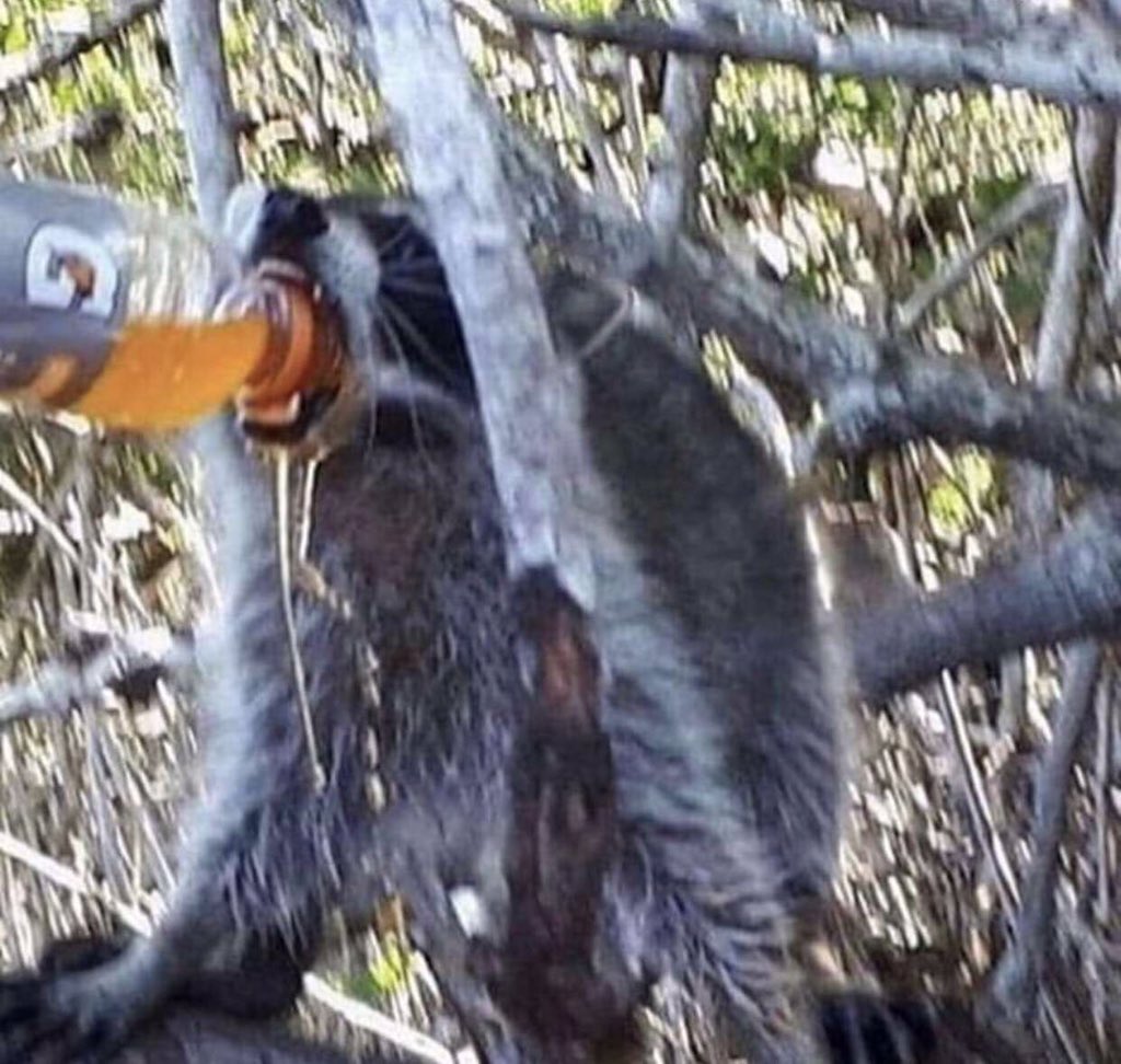 ItsDacity_'s tweet photo. @MrBeastYT Me after buying $10,000 worth of Gatorade https://t.co/3BeT9rHtPV