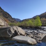 ツイートに含まれる画像