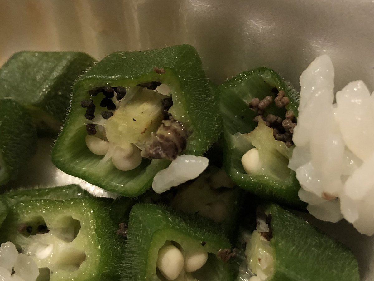 さる Gooner 閲覧注意 モリソンズのokra オクラ をご飯にぶっかけたら黒いブツブツが散乱 ん 種かな と思ったら蛾みたいな虫とその卵 だった件 日本と違い微農薬の弊害かな 知らんけど 念のためオクラ一本丸々かぶりついてるきんに君は気をつけて