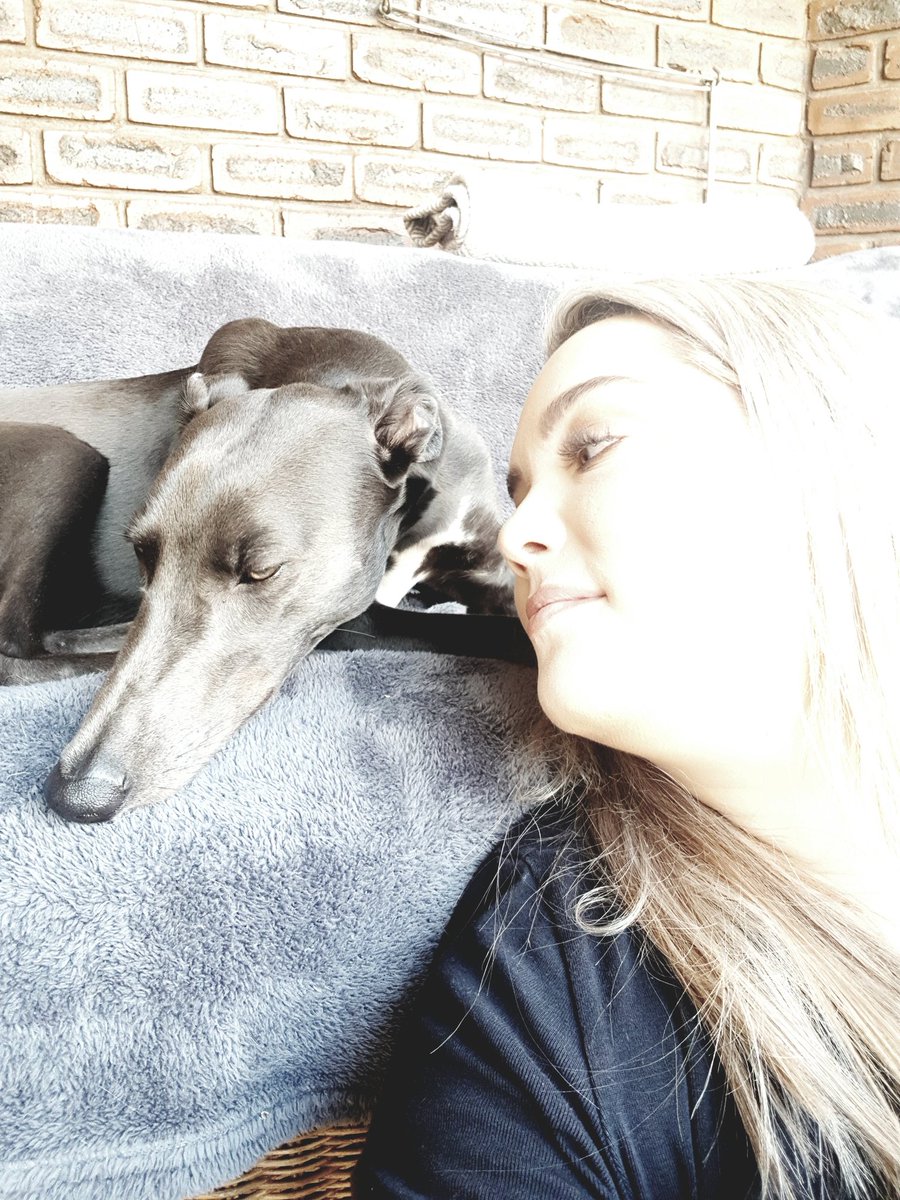 sugarspiceblog2's tweet photo. Selfie with your dog? Sure... but only when Luna is in the mood... someone is not feeling it ๐คฃ๐คฃ๐คฃ #PedigreeSA https://t.co/9xffIKSMcp