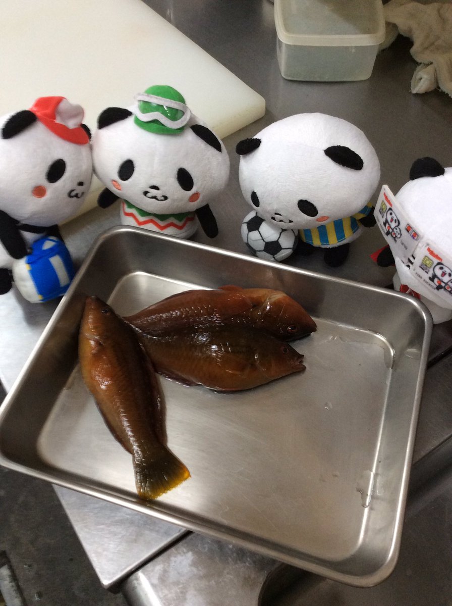 Nanafuku Opanda おパンsup出港 一年ぶりのsupフィッシング しかし ベラ しか釣れなかった 去年初めて 色々改良する余地かなりあるな ベラは面倒ですが刺身にしました お買い物パンダ キッチンシエテ 笹丘 Supフィッシング 糸島釣り ベラ ベラ