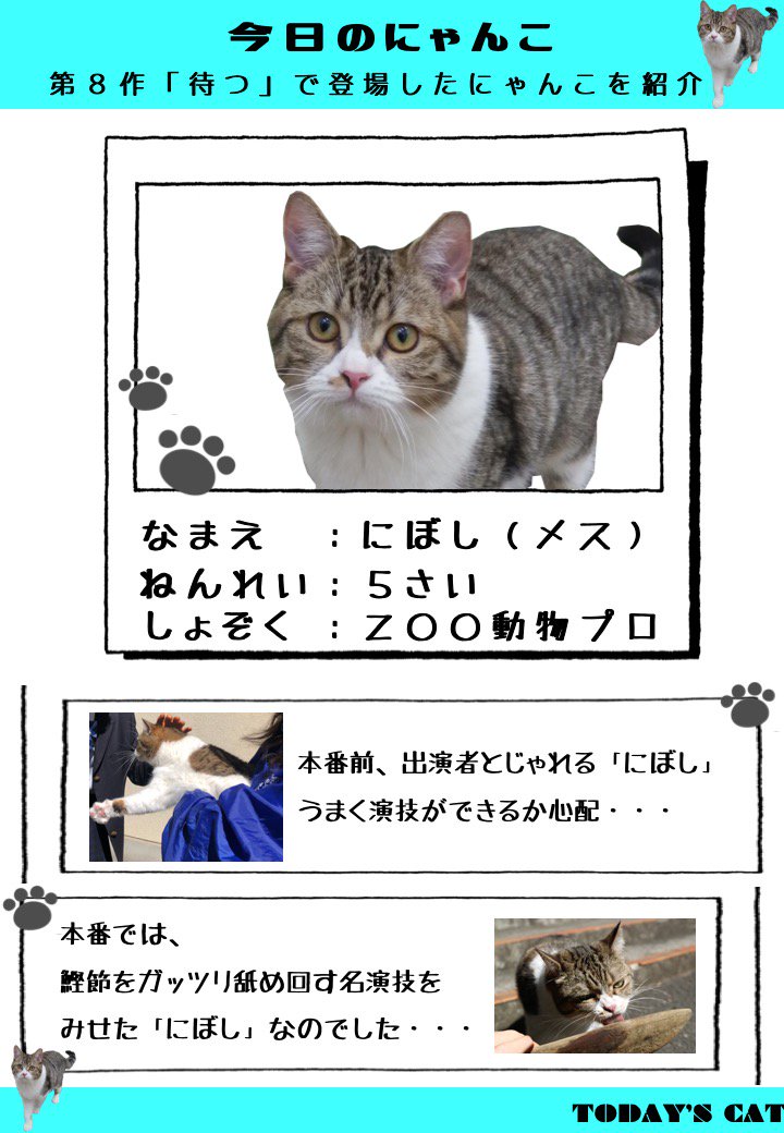 公式 スカパー 今日のにゃんこ 待つ 最終話でようやく現れた にゃんこ 主人公が待ちに待っていた にゃんこ を少しだけ 詳しく紹介します オスなの メスなの 何歳 スカパーtwitter朝ドラ 家を楽しくするのはテレビだ 公式 スカパー 今日のにゃんこ 待つ 最終話でようやく現れた にゃんこ 主人公が待ちに待っていた にゃんこ を少しだけ 詳しく紹介します オスなの メスなの 何歳 スカパーtwitter朝ドラ 家を楽しくするのはテレビだ