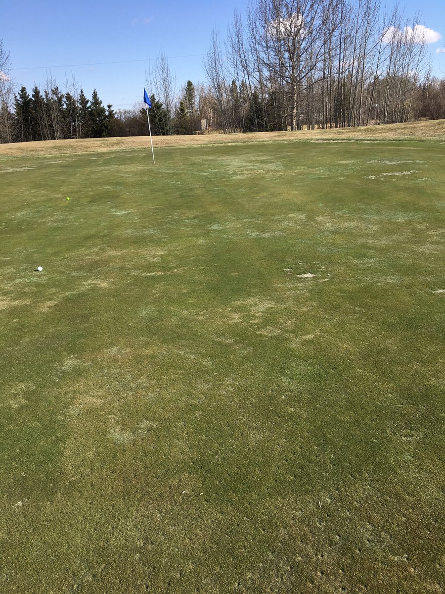 rchkepp's tweet photo. The club in incredible shape to open the year, have to think @ClubProGuy was up here in off season, made 7 sr8 bogies to finish my 9, similar to your pars record 
#yeggolf
#deermeadows https://t.co/0MG4IX2rSJ