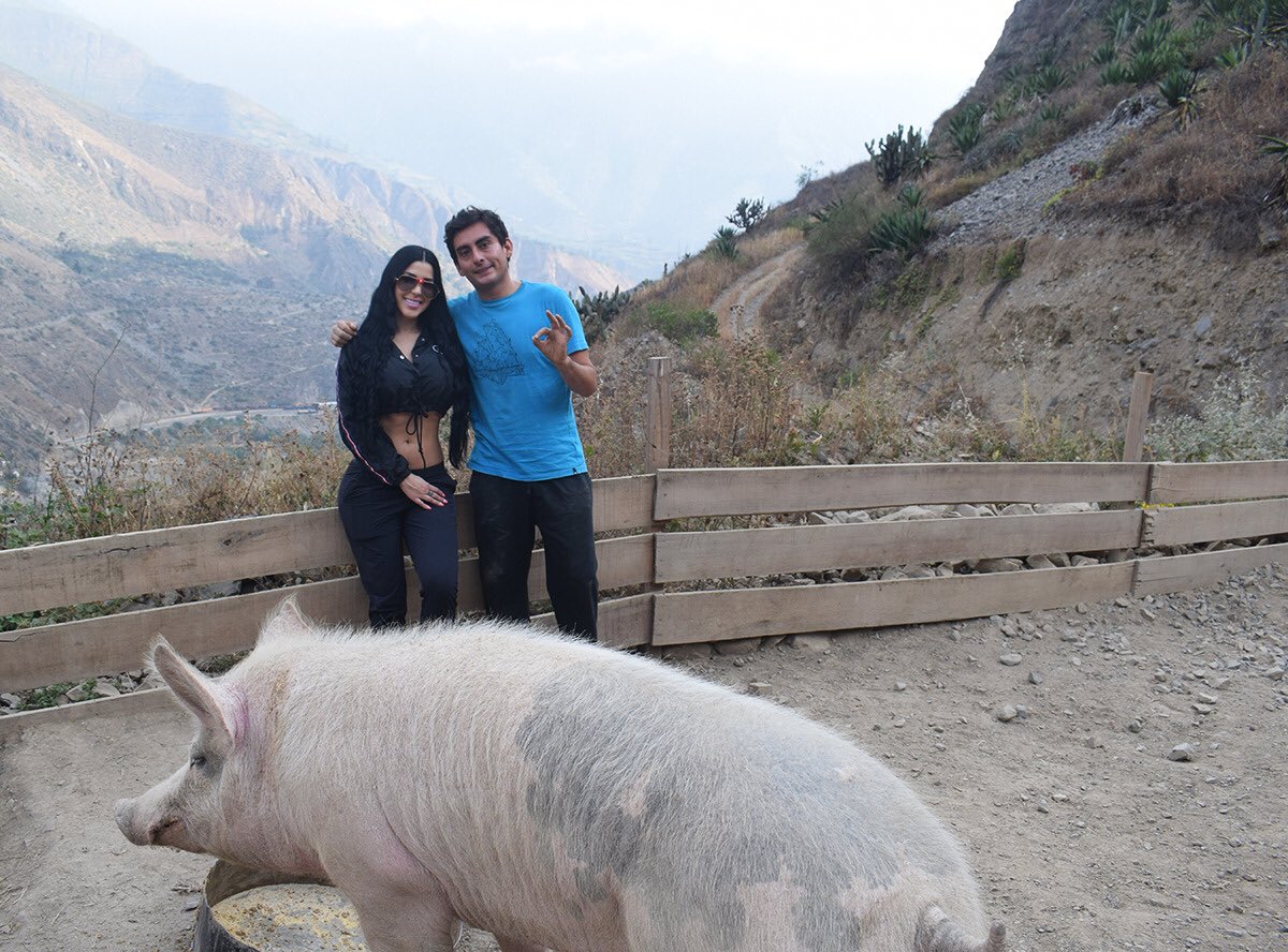 fernandorene77's tweet photo. Un sueño hecho realidad ✨, mi DJ favorita @arayajimena , ha sido la primera estrella 🌟 en ir a visitar a los cerditos rescatados de @VrindavanPeru en Matucana /Huarochirí (Lima) 🇵🇪 ¡Gracias Jime fue un día lleno de magia 🐖💕! https://t.co/QpVEphtDAL