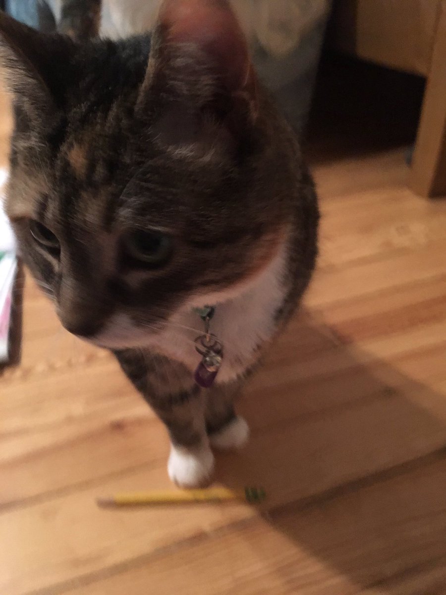 to my foloewers....  am avalbale to tutor . i can alreday hold a pencul