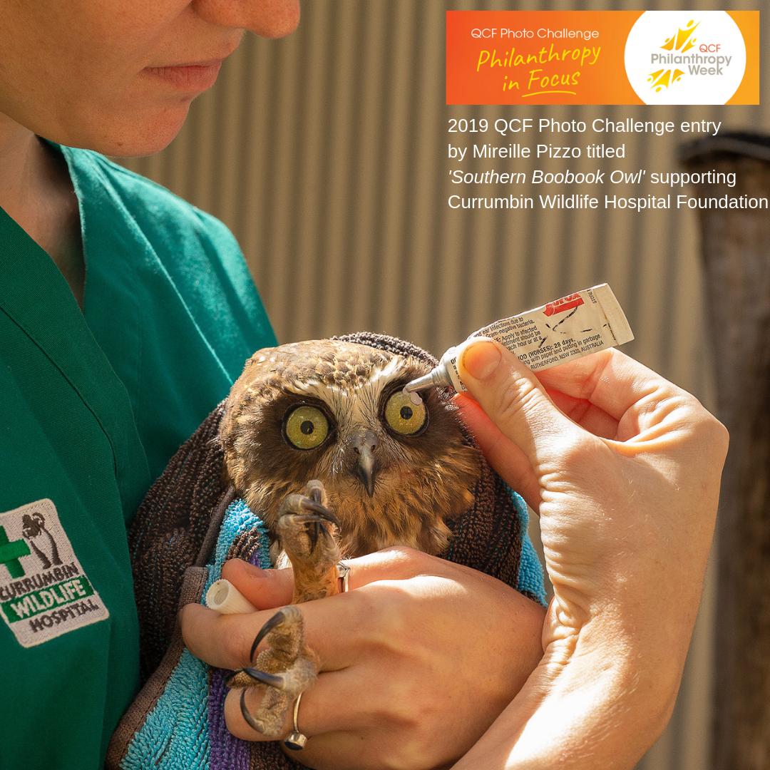 Our judges Simon from <a href="/NorthernTrust/">Northern Trust</a>, Nic from <a href="/OrangeSkyAU/">Orange Sky Australia</a> and Nadeyn from <a href="/qut/">QUT</a> have quite the job ahead of them to pick a winner of our 2019 QCF Photo Challenge. #gladitisthemnotme #qcf #qcfphotochallenge19 #dogoodqld Photo by Mireille Pizzo supporting @CWHFAU