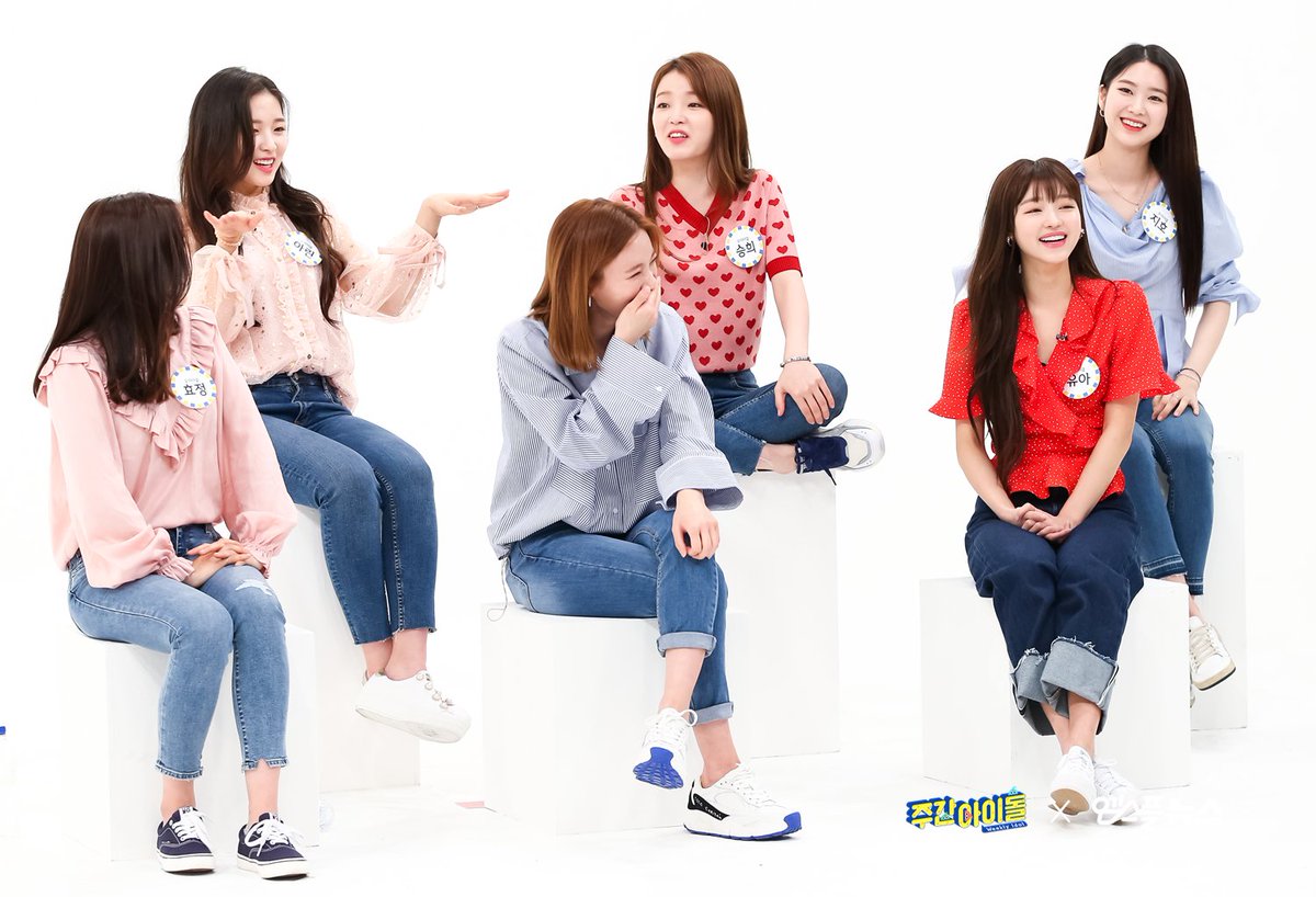 arin pics tweet media