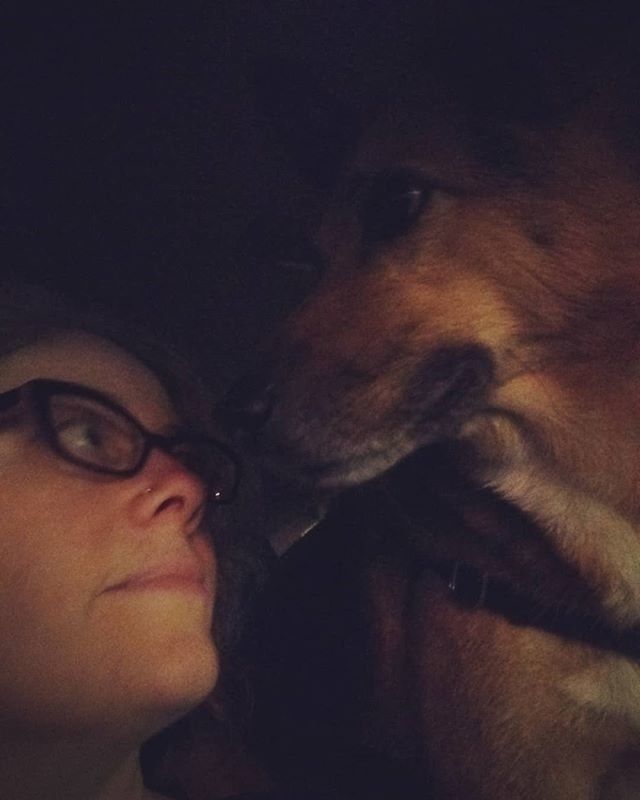snickerpants's tweet photo. Everyday I'm just a little bit thankful that I'm not allergic to dogs.
#thormichaelson #dogsofinstagram #soblessed https://t.co/LpsXuiqcvN https://t.co/Im8uX4esUA