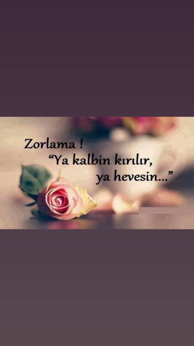Ercan51184754's tweet photo. https://t.co/hkB29fYOGL