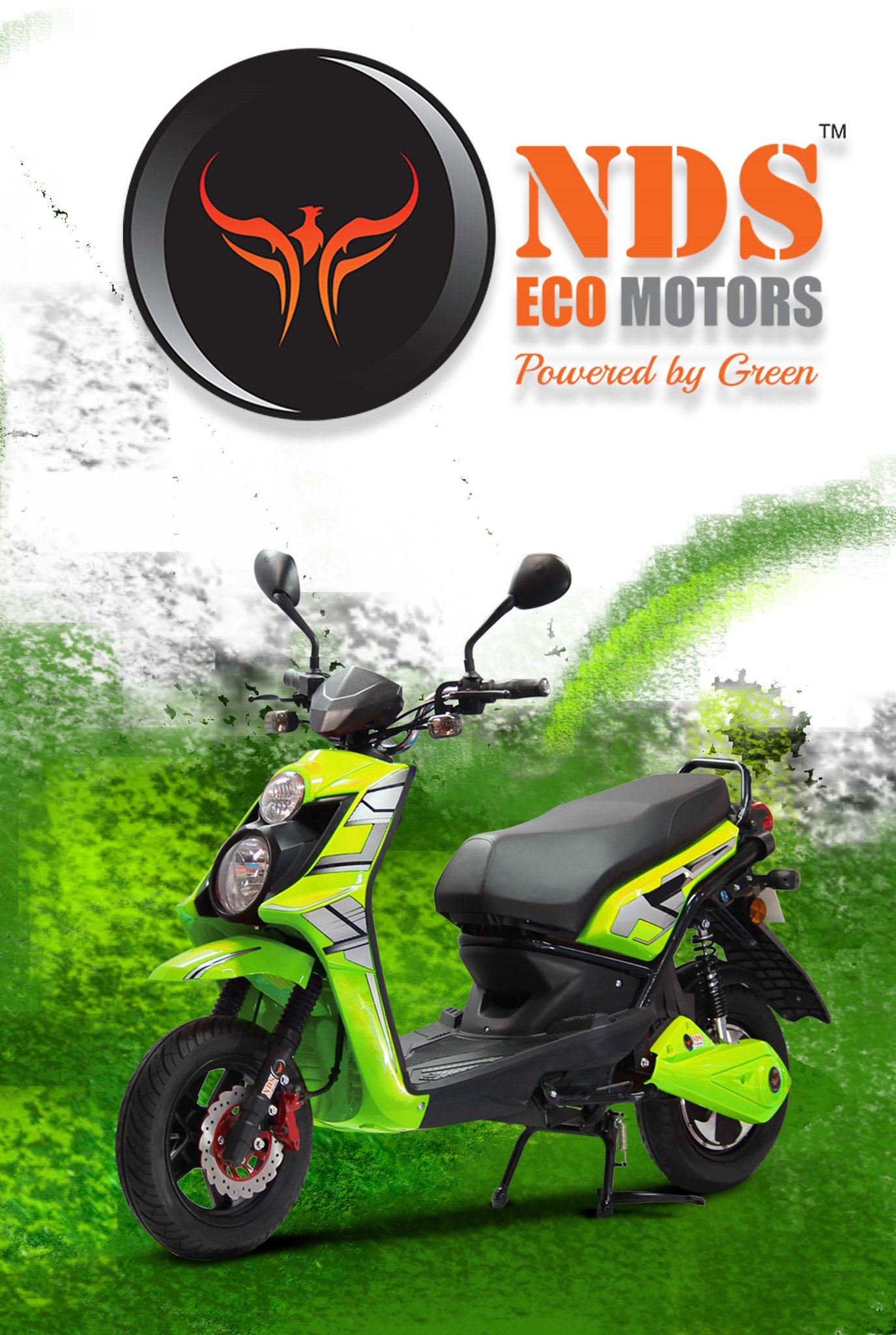 nds eco motors