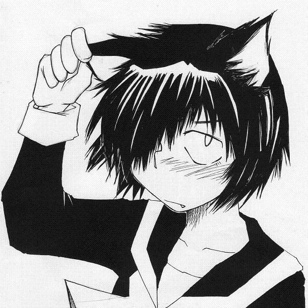 StinkyKUN's tweet photo. @Soundwave4971 https://t.co/30862WawjY