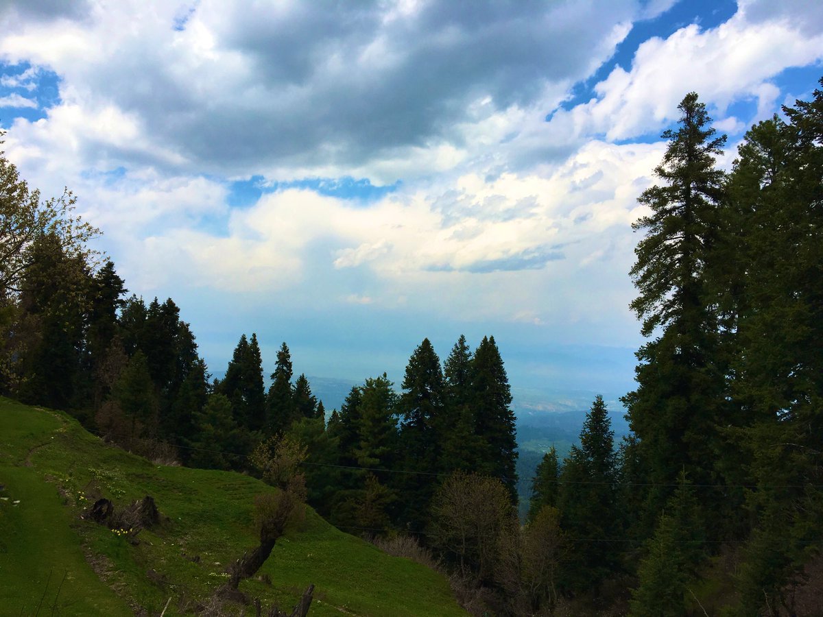 aiburza's tweet photo. Silver Lining!

Clouds #Gulmarg #Kashmir https://t.co/dHxSv4hKUx