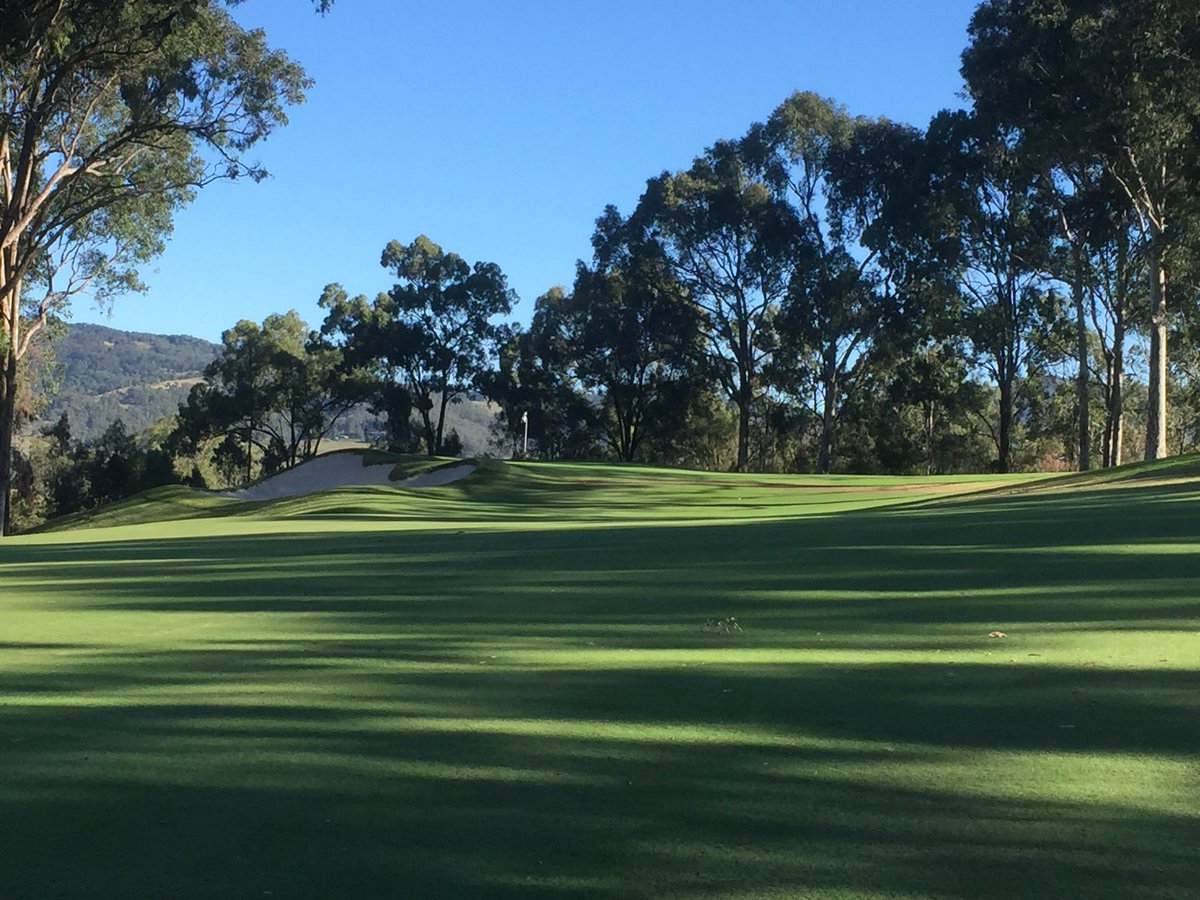 Craig Molloy tweet media