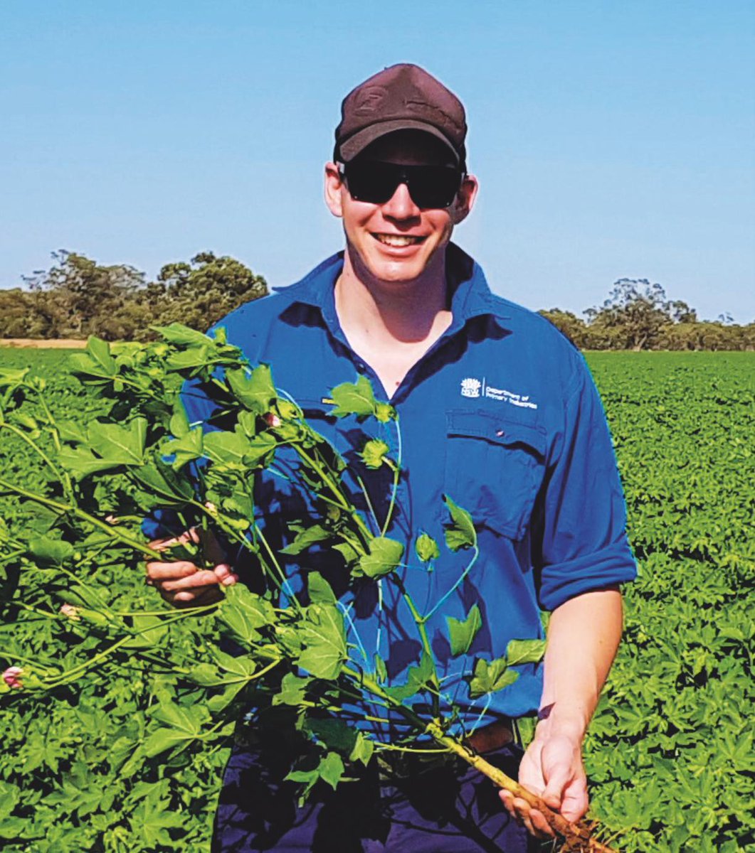 To address #cotton research capacity needs in Southern NSW, new industry roles have been created. Meet new CRDC &amp; @nswdpi crop protection specialist &amp; <a href="/CottonInfoAust/">CottonInfo</a> disease tech lead, Tim Green, who is focusing on pathology &amp; entomology: crdc.com.au/content/new-pa… #cotton19 #ausag